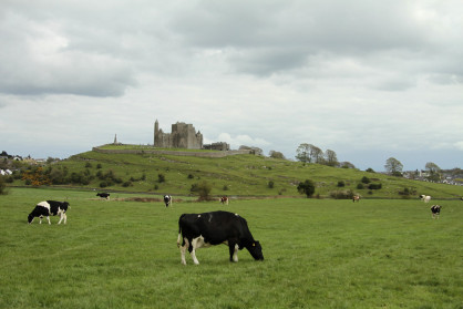 Cashel rock I