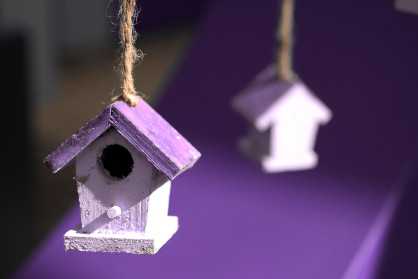 Bird House