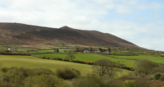 Mountains and Meadows